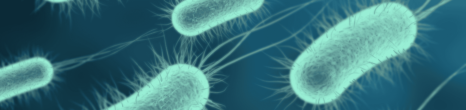 Clostridia testing in water samples under microscope