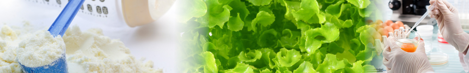 Food Microbiology Banner