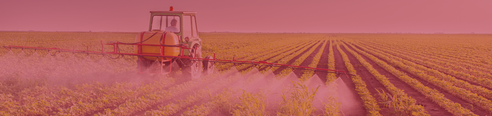 Understanding Contaminants and Pesticides Risks in Food