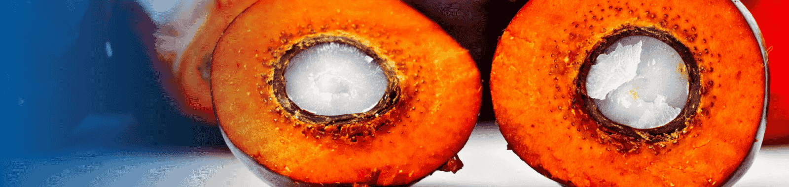 MCPD and glycidyl ester analysis in a laboratory